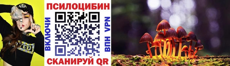 Галлюциногенные грибы прущие грибы  купить наркоту  Цоци-Юрт 